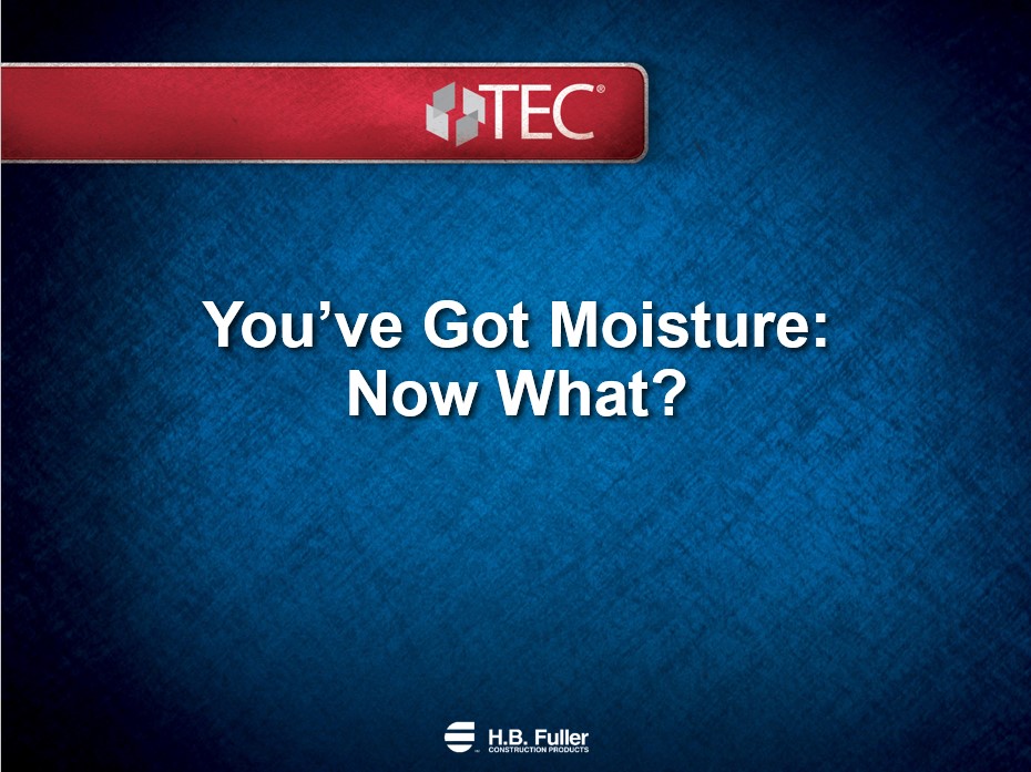 Youve Got Moisture Now What.jpg
