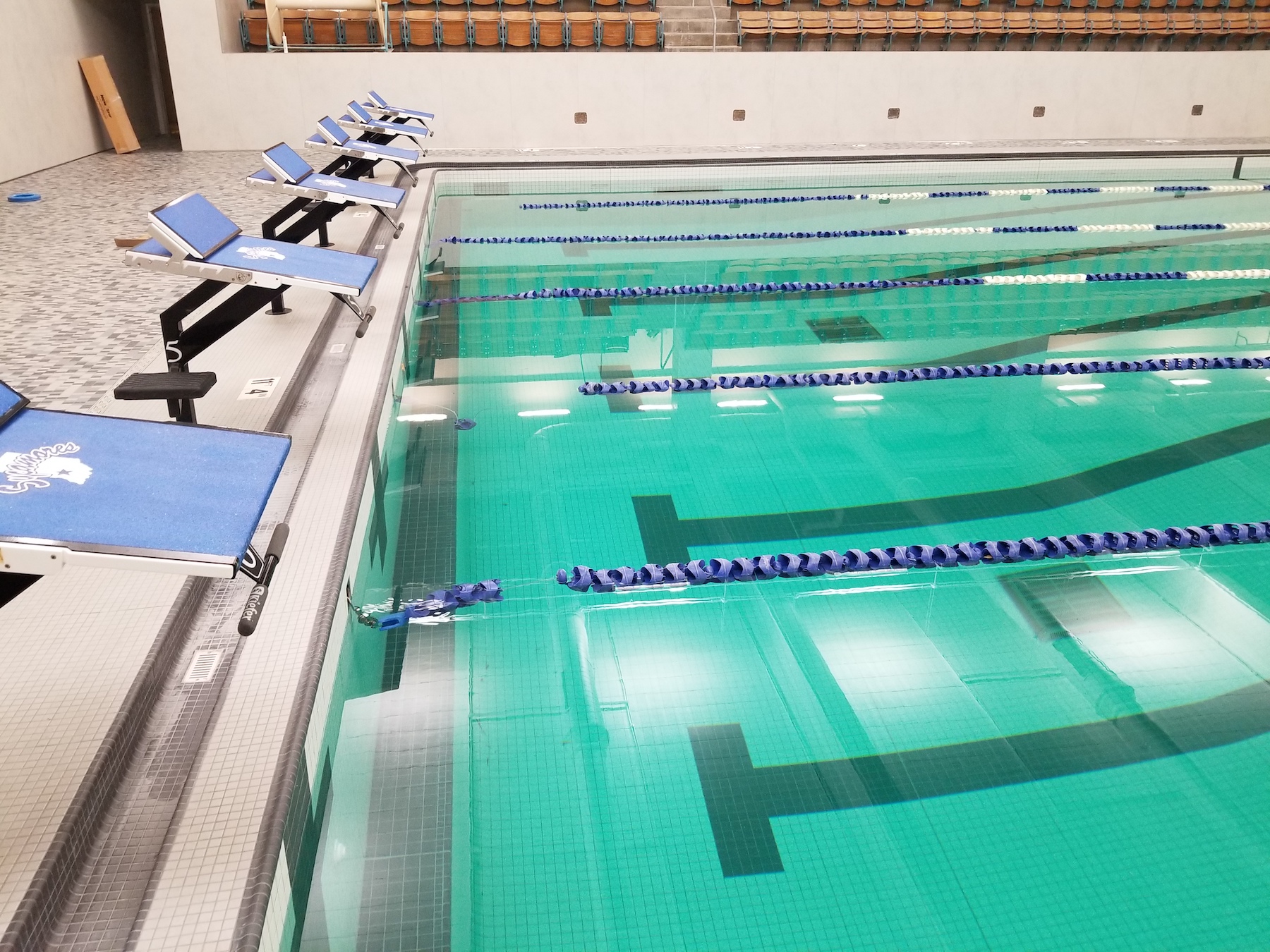 Copy of Pool with Starting Blocks.jpeg